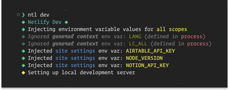 Example of Netlify CLI injecting environment variables into a local development environment