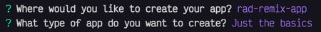 Where would you like to create your app? rad-remix-app What type of app do you want to create? Just the basics.