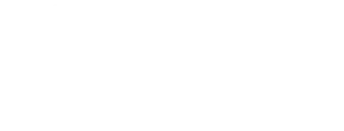 Horangi Cyber Security