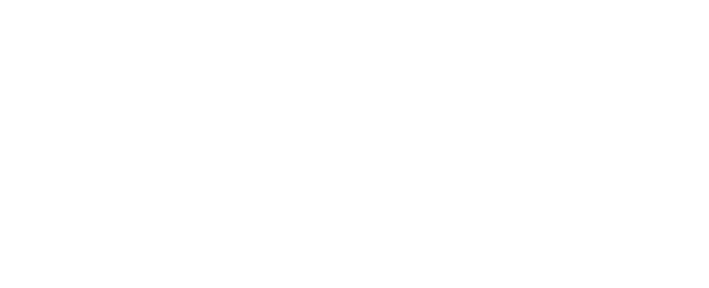 Netlify Logo