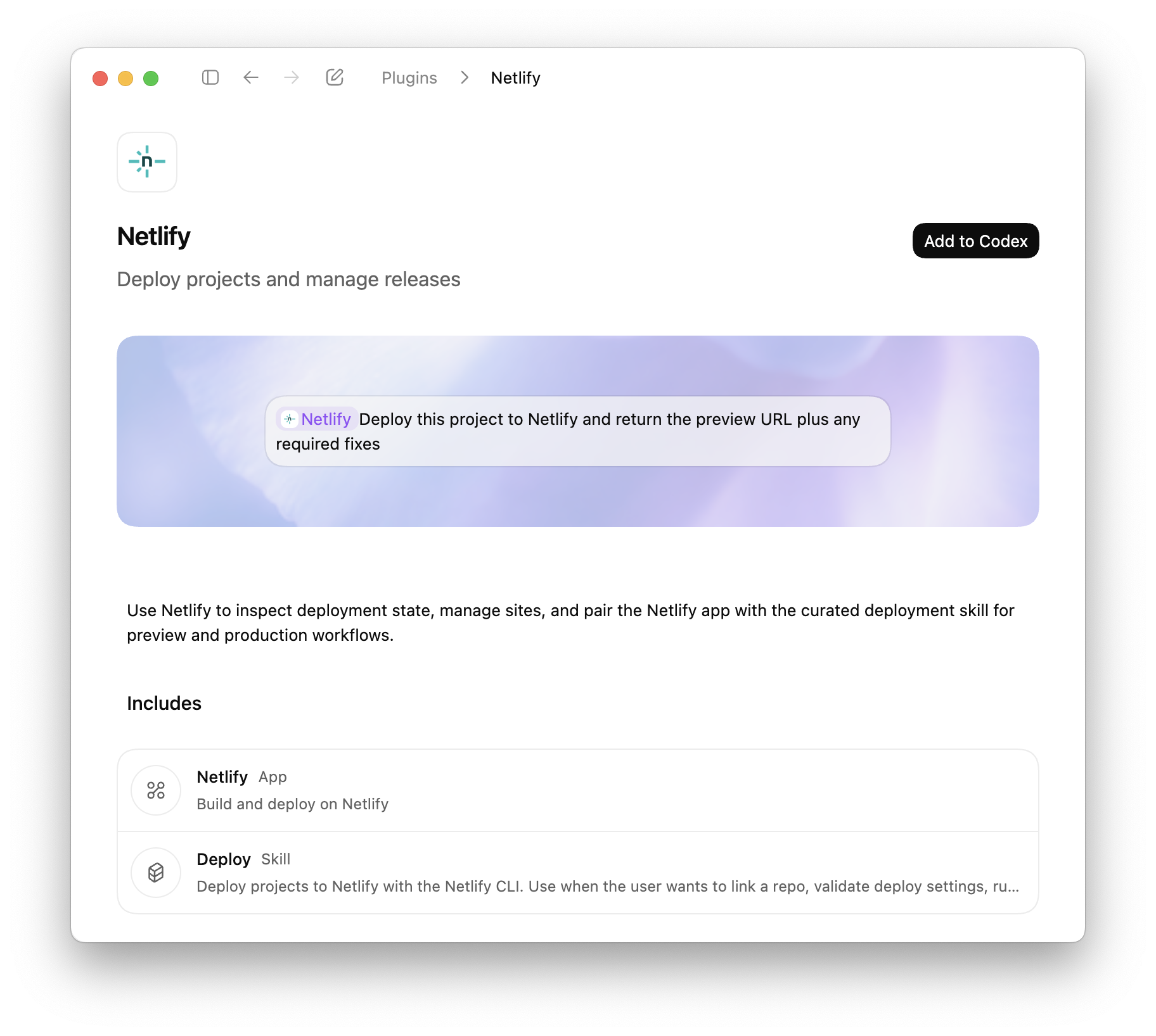 Netlify plugin in Codex