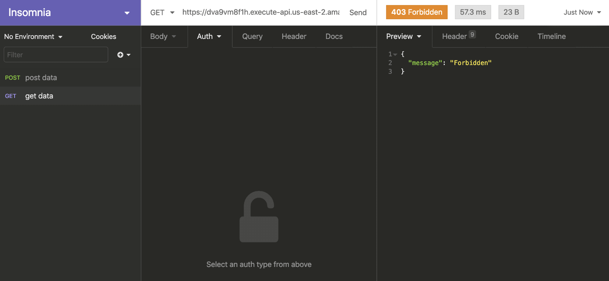Insomnia app 403 forbidden access screen