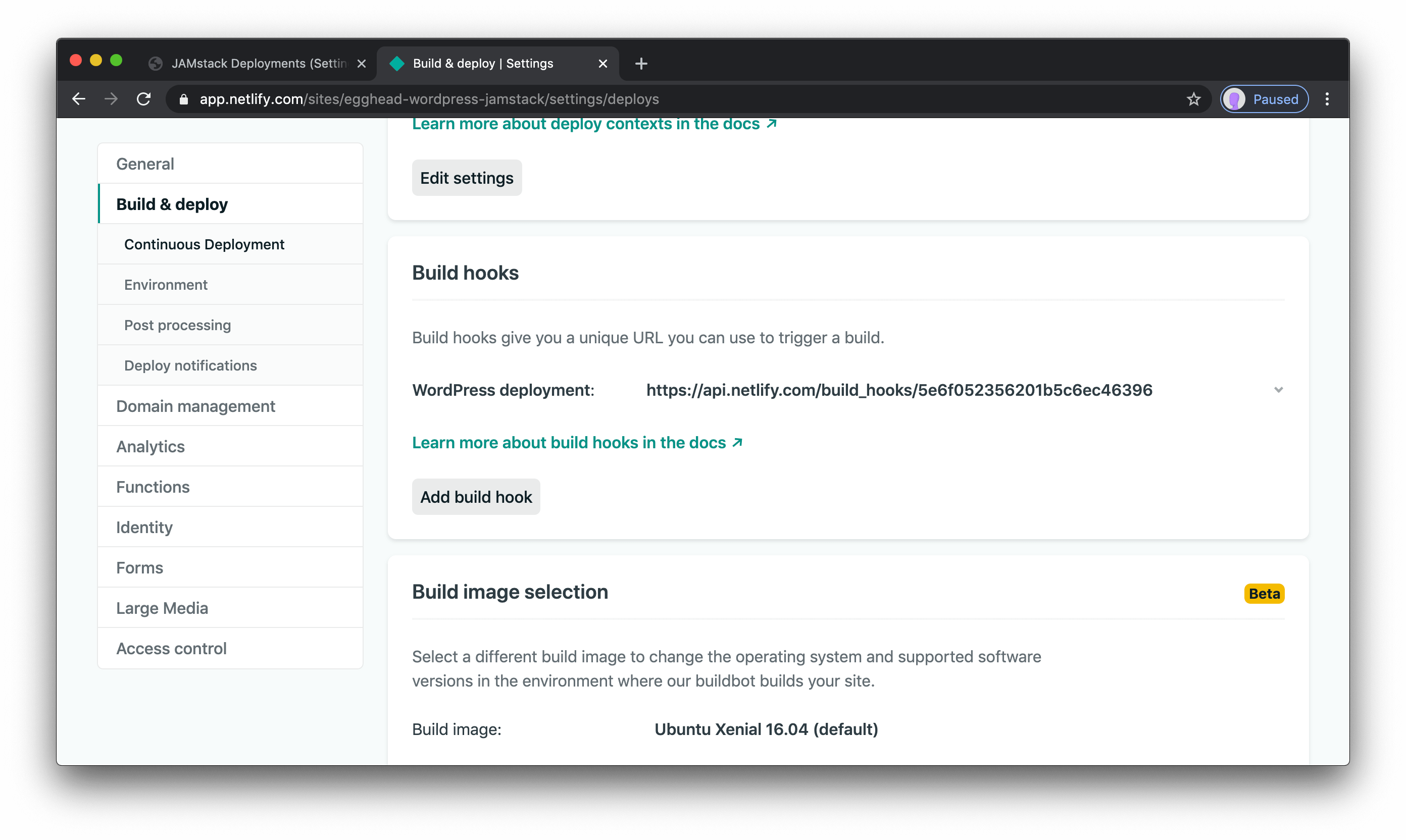 The build hook section of the Netlify settings.
