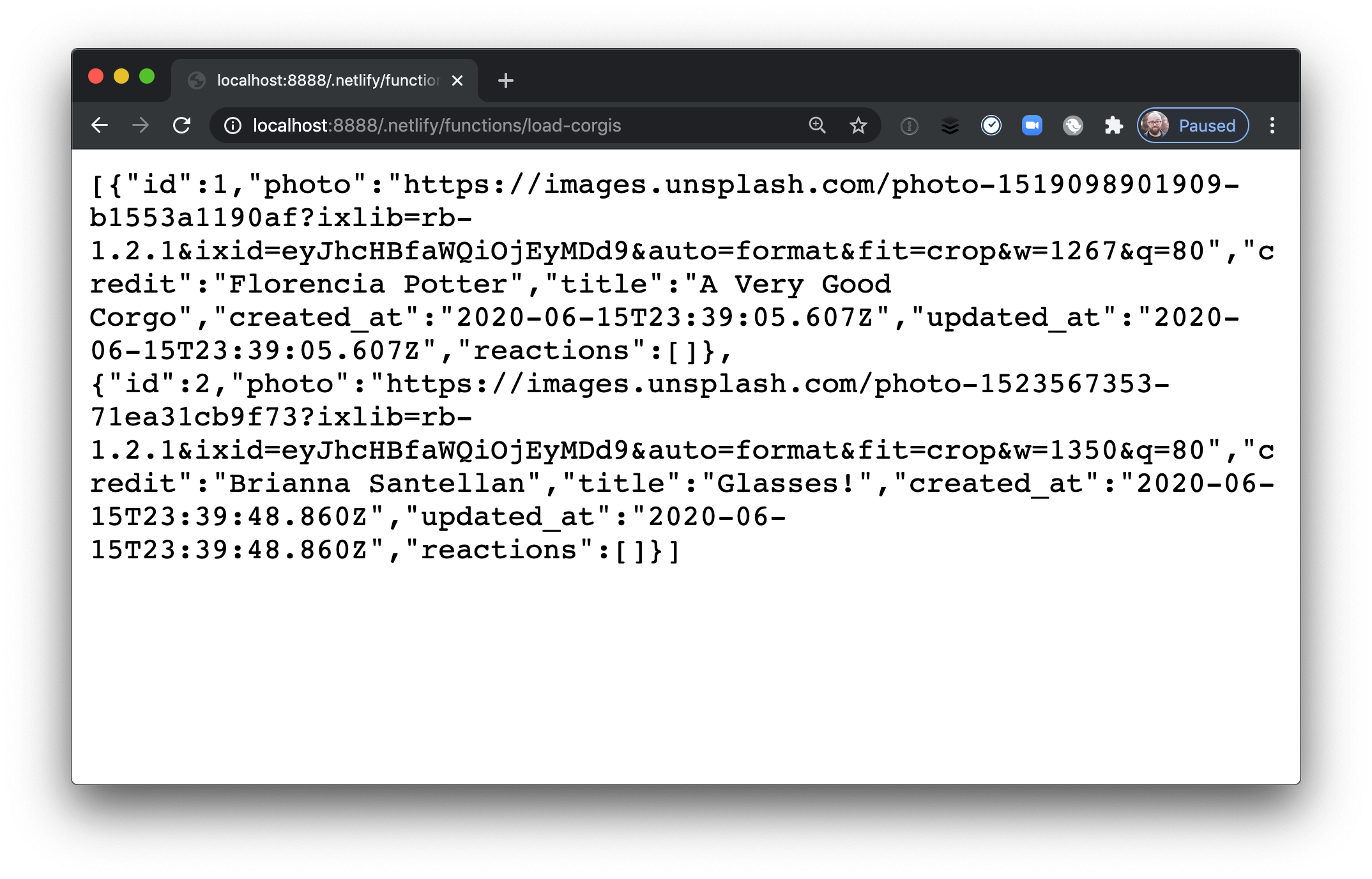 Corgi data from Strapi loaded from a Netlify serverless function.