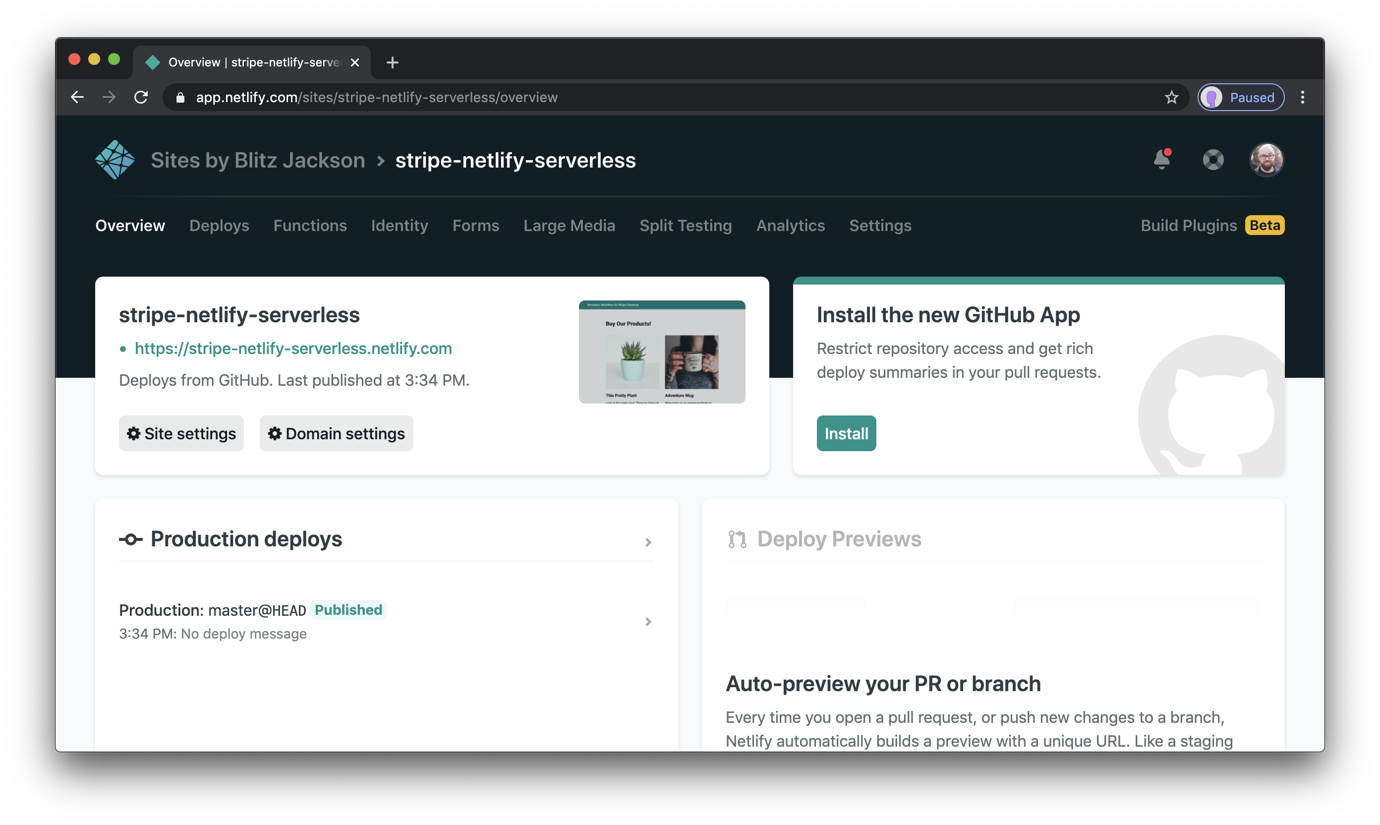 Netlify site overview